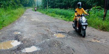 Jalan Poros Saradan-Gemarang, Madiun Rusak dan Banyak Berlubang