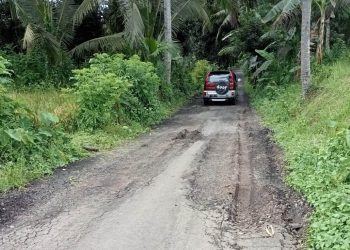 Warga Pesucen Kalipuro Sesalkan Proyek Pengaspalan Jalan yang Cepat Hancur