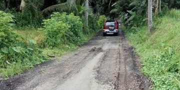 Warga Pesucen Kalipuro Sesalkan Proyek Pengaspalan Jalan yang Cepat Hancur