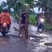 Protes Jalan Rusak, Warga Mejayan, Madiun Tanam Pisang di Tengah Jalan
