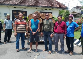 Polhutmob Saradan – Madiun Ringkus Pencuri Kayu, Mobil Pick up dan 29 Gelondong Kayu Jati Diamankan