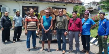 Polhutmob Saradan – Madiun Ringkus Pencuri Kayu, Mobil Pick up dan 29 Gelondong Kayu Jati Diamankan