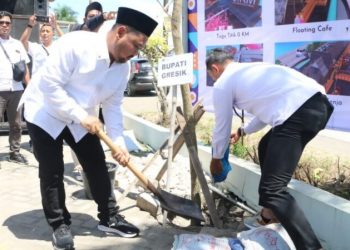Bersama PWI, Bupati Gresik Tanam 250 Tabebuya di Titik Nol Perbatasan Gresik-Lamongan