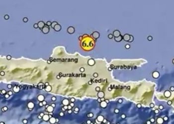 Gempa Guncang Tuban, Getaran Terasa hingga Bali