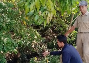 Mendesak, Irigasi Desa Waung – Boyolangu Perlu Perbaikan