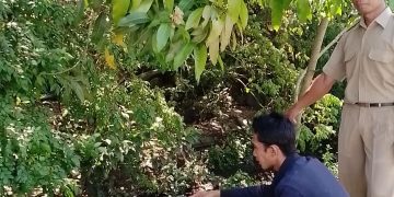 Mendesak, Irigasi Desa Waung – Boyolangu Perlu Perbaikan