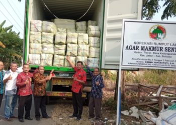 Ekspor Perdana, Koperasi AMS Tlocor Kirim 25 Ton Rumput Laut ke Cina