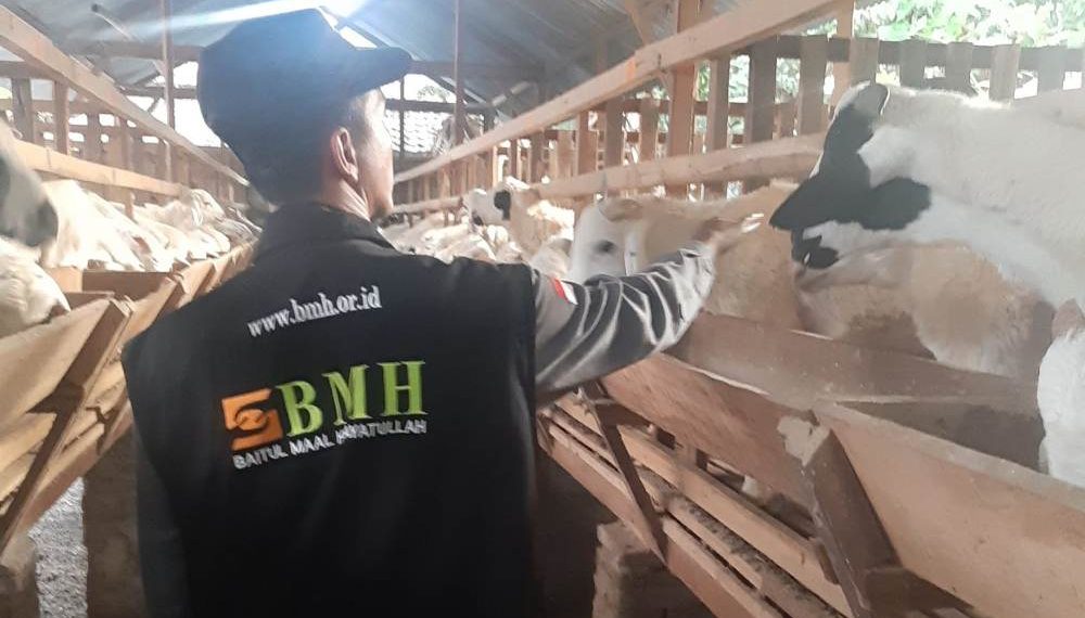 Cegah Stunting, dengan Luaskan Manfaat Qurban Plus Sedekah Air