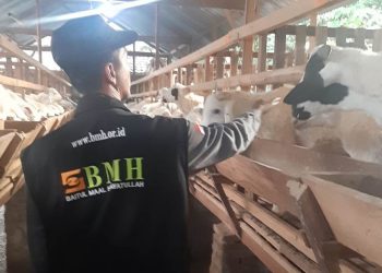Cegah Stunting, dengan Luaskan Manfaat Qurban Plus Sedekah Air