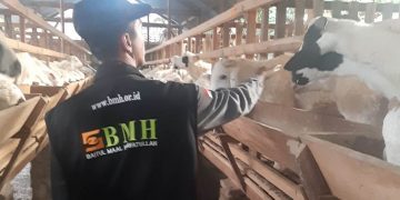 Cegah Stunting, dengan Luaskan Manfaat Qurban Plus Sedekah Air