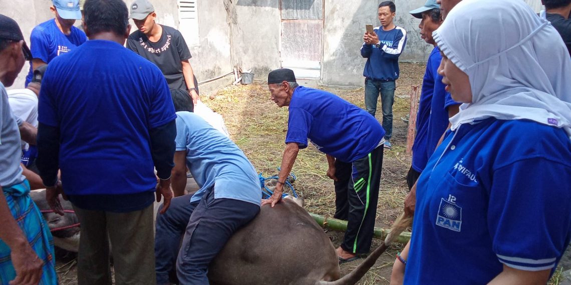 Hj Syifaul Ummah Bacaleg DPRD Sidoarjo Ikut Penyembelihan hingga ‘Jualan’ Gule dan Sate