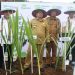 Pegadaian – Pemkab Tulungagung Luncurkan Program ‘The Gade Integrated Farming’