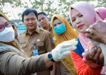 Pastikan Stok dan Kesehatan Hewan Kurban Aman, Wabup Gresik Inspeksi Jelang Idul Adha