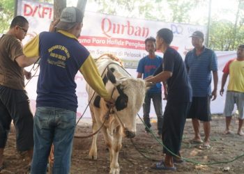 DAFI Pesantren Al Qur’an Kurban bersama Para Hafidz di Pelosok Desa