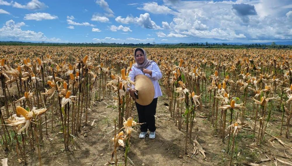 Penguatan Ketahanan Pangan Lewat Berbagai Terobosan dan Inovasi