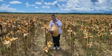 Penguatan Ketahanan Pangan Lewat Berbagai Terobosan dan Inovasi