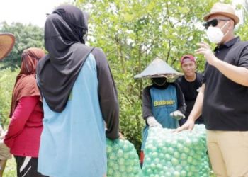 Produktivitas Pertanian Naik, Ketahanan Pangan Kabupaten Gresik Menjadi Salah Satu yang Terbaik di Indonesia