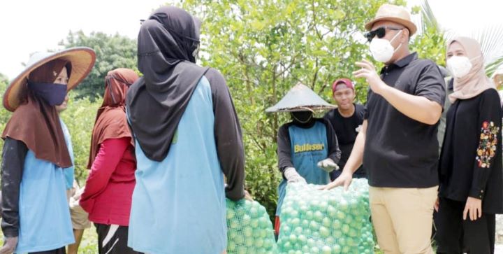 Produktivitas Pertanian Naik, Ketahanan Pangan Kabupaten Gresik Menjadi Salah Satu yang Terbaik di Indonesia