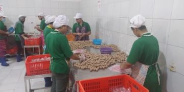 Kisah Sukses Pemuda Desa Tanjekwagir, Mulai Dari Buruh Pabrik Hingga Menjadi Pengusaha Bakso