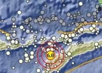 Setelah Pacitan, Giliran Timor Tengah NTT Diguncang Gempa