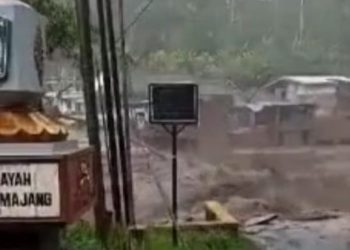 Tebing Longsor, Tiga Orang Tewas, Akses Jalan Lumajang-Malang Kembali Terputus