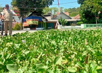 Bambang Haryo Prihatin Kondisi Sungai Penuh Sampah dan Tanaman Eceng Gondok