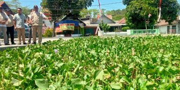 Bambang Haryo Prihatin Kondisi Sungai Penuh Sampah dan Tanaman Eceng Gondok