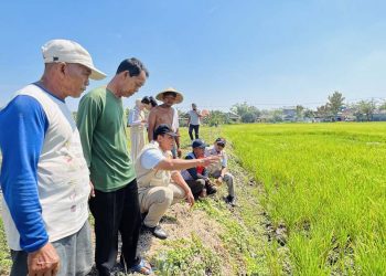 Pertanian di Desa Sentul Sudah Teraliri Air, Petani Ucapkan Terima Kasih ke Bambang Haryo