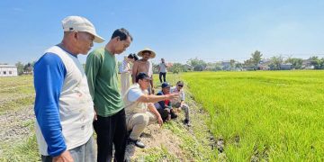 Pertanian di Desa Sentul Sudah Teraliri Air, Petani Ucapkan Terima Kasih ke Bambang Haryo