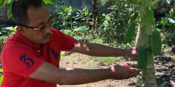 Wawali Surabaya Armuji Ajak Optimalisasi Urban Farming dan Tanaman Pangan