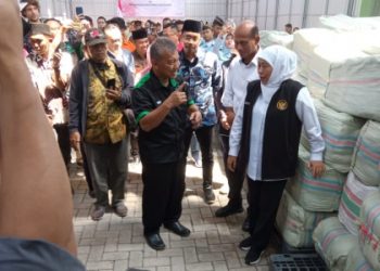 Rumput Laut Gracilaria Asal Tlocor Tembus Pasar Australia