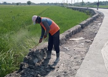 Dinas PU BMSDA Sidoarjo Minta Kontraktor Perbaiki TPT Betonisasi Jalan Mliriprowo