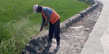 Dinas PU BMSDA Sidoarjo Minta Kontraktor Perbaiki TPT Betonisasi Jalan Mliriprowo