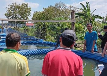 Ikhtiar Sejahterakan Warganya, Pemdes Sekarkurung Genjot Program Ketahanan Pangan