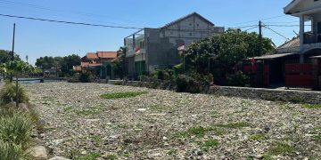 BHS Hubungi Kepala BPWS untuk Bersihkan Sampah Sungai Sekunder di Krembangan