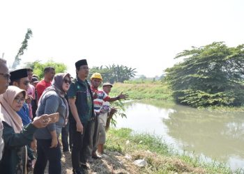 Bupati Akan Hidupkan Lahan Pertanian Desa Semambung