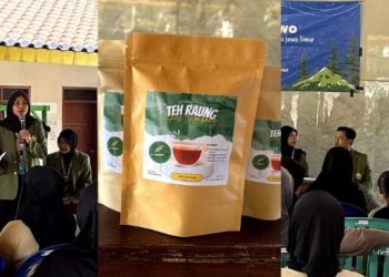 Di Jombang, Mahasiswa UPN Veteran Jatim Olah Rambut Jagung Jadi Minuman Teh dan Herbal