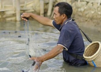 Aktivitas Konservasi Berikan Keberkahan di Pulau Bawean