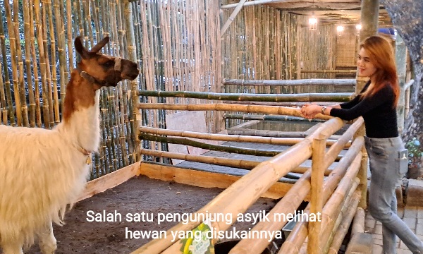 Lippo Plaza Sidoarjo Hadirkan Holiday Mini Zoo