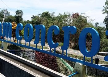 Aliran Sungai Dam Concrong Rogojampi yang Bersih dan Lancar, Cocok Buat Refreshing