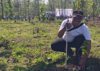 Hari Menanam Pohon, KPH Saradan Tanam 2.600 Spesies