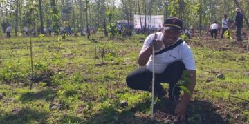 Hari Menanam Pohon, KPH Saradan Tanam 2.600 Spesies