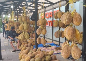 Lippo Plaza Hadirkan Kampoeng Durian dengan Harga Murah