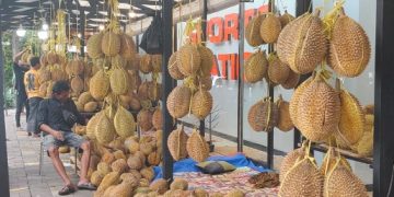 Lippo Plaza Hadirkan Kampoeng Durian dengan Harga Murah
