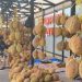 Lippo Plaza Hadirkan Kampoeng Durian dengan Harga Murah