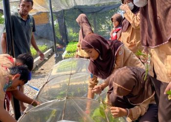 Kader Adiwiyata SD Al Muslim Belajar bersama di Dinas Kehutanan Jatim