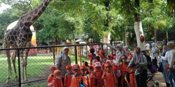 Anak-anak KB Al Falah Darussalam Lakukan Tafakur Alam di Kebun Binatang Surabaya