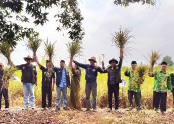 LPPNU Gresik Panen Raya Padi IF-20 dan Launching Pekarangan Berkah