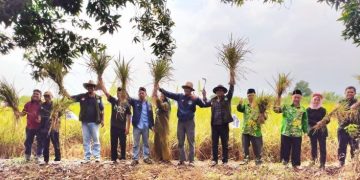 LPPNU Gresik Panen Raya Padi IF-20 dan Launching Pekarangan Berkah