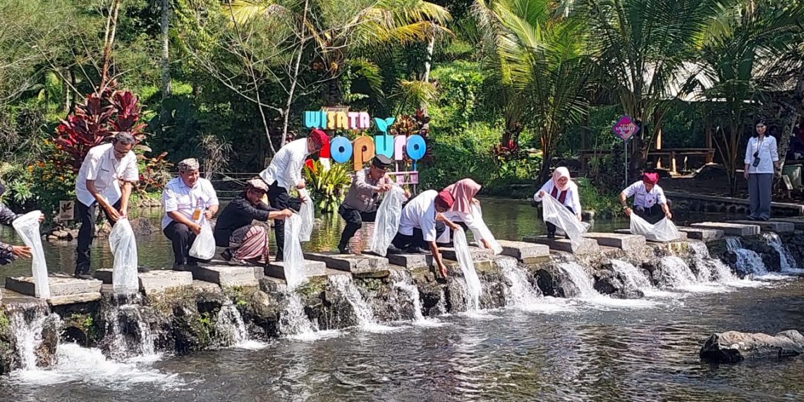 Program Sekardadu Banyuwangi Sasar Area Wisata Pemandian